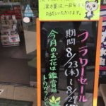 観賞用とうがらしプレゼントセール