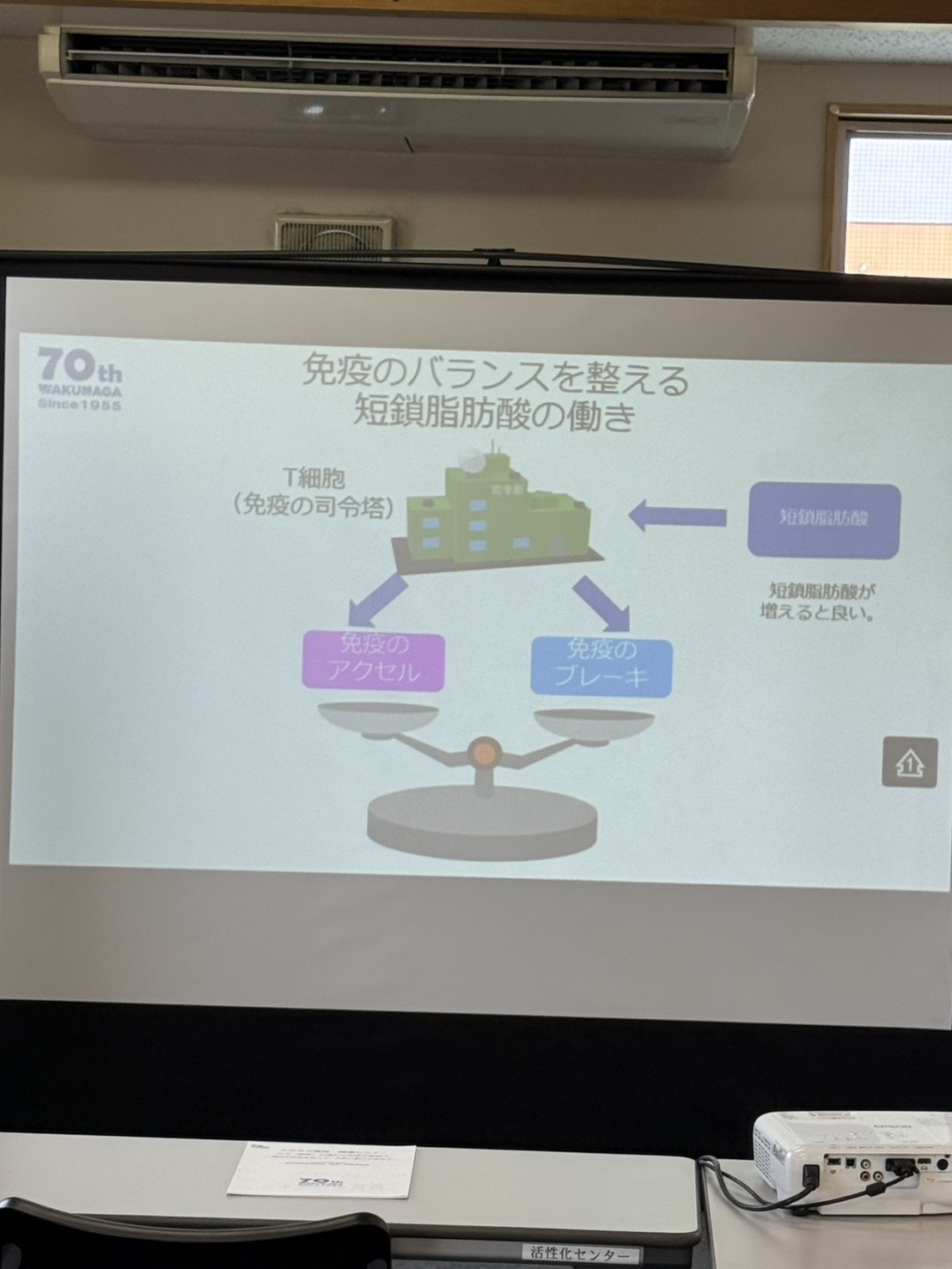 免疫のアクセルとブレーキのバランスを説明する健康セミナーのスライド