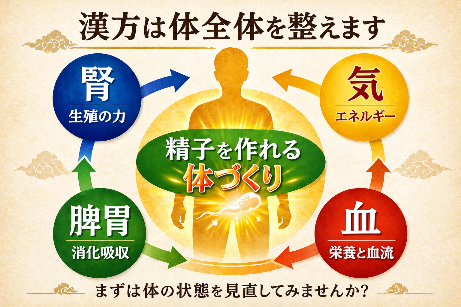 無精子症の漢方治療では腎 気 血 脾胃を整えて精子を作れる体づくりを目指します